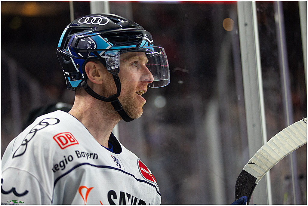 PENNY DEL;  Kölner Haie - ERC Ingolstadt; Köln, 25.11.2022